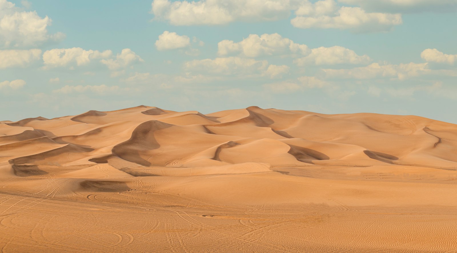 A Complete Guide to Desert Safari Adventures in Dubai