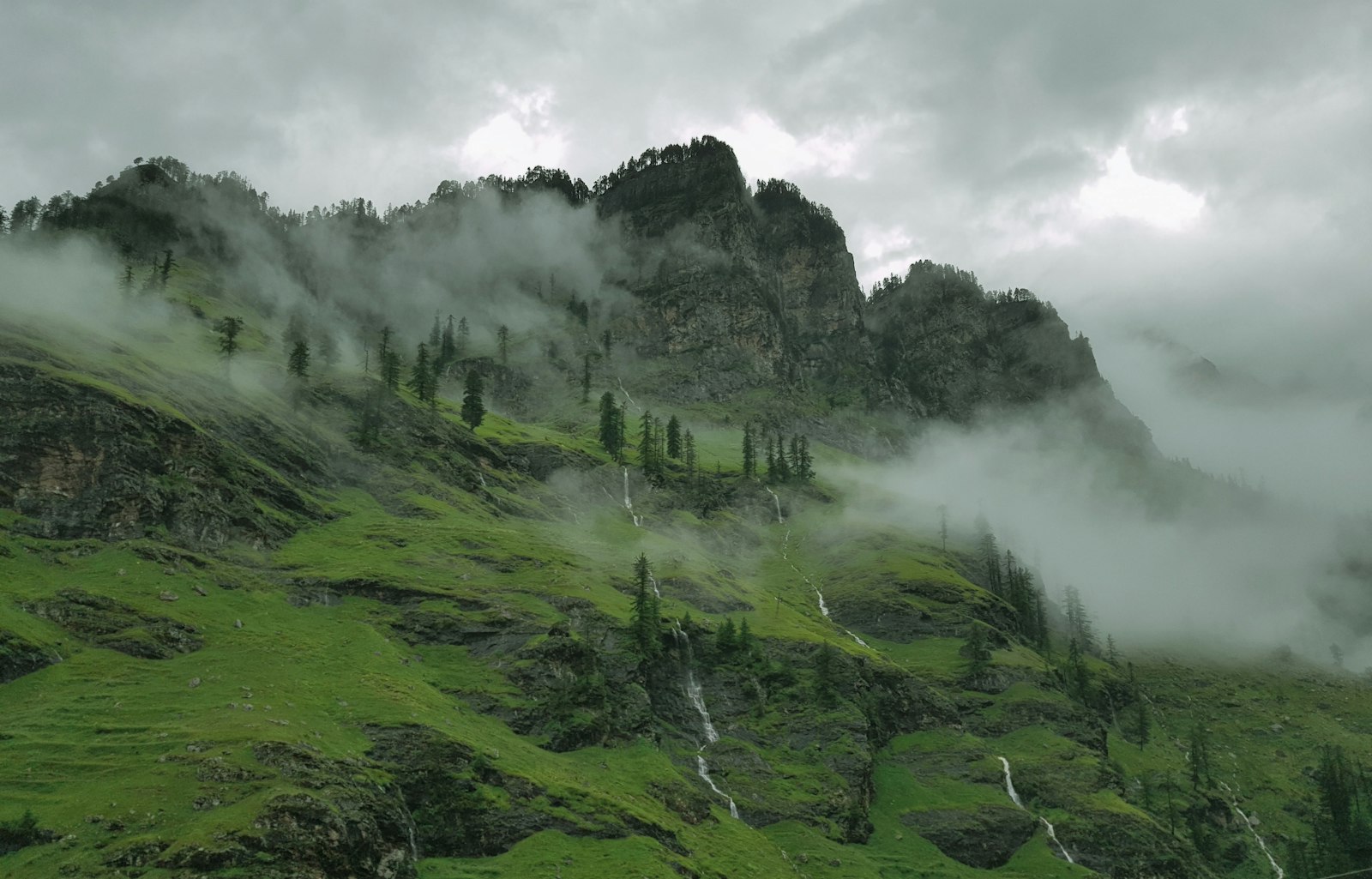 Kashmir
